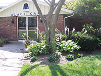 PHOTO: Clubhouse